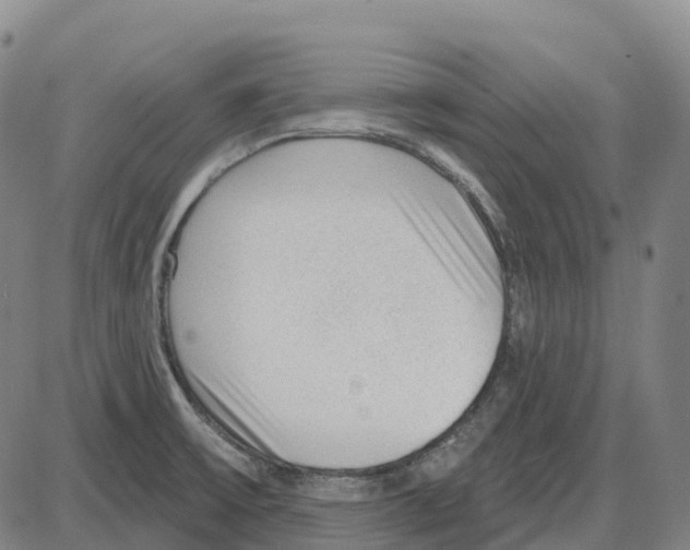 X0000083991475200703161610