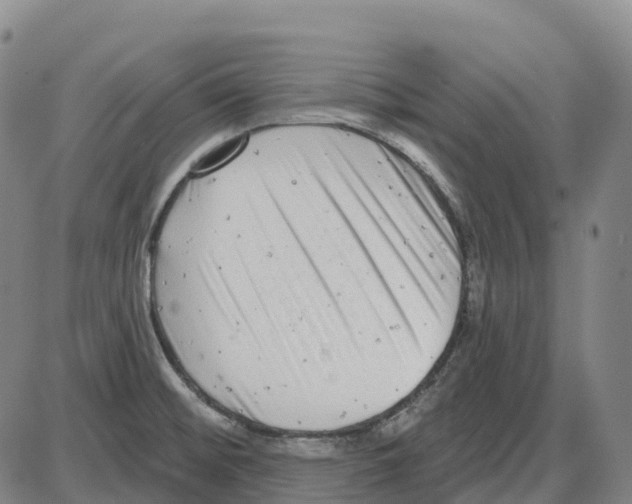 X0000083991476200703161610