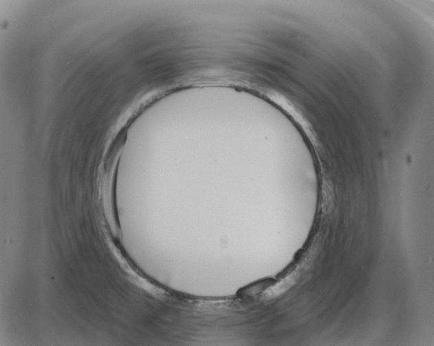 X0000083991477200703161610