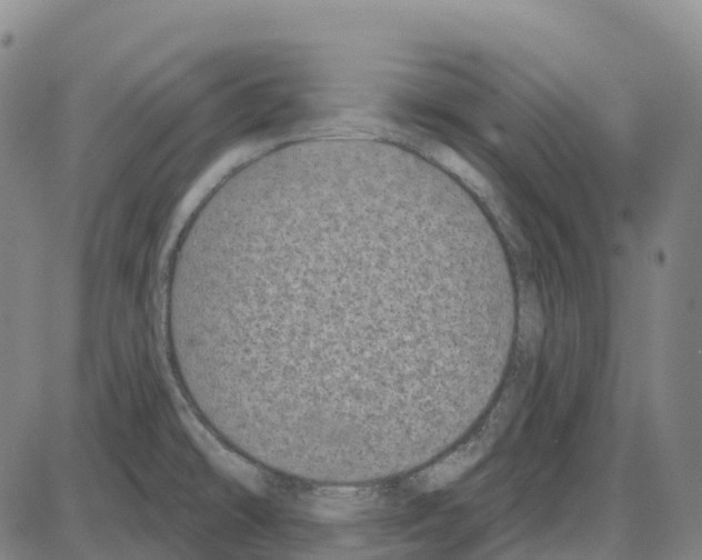 X0000083991478200703161610