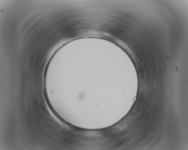 X0000083991479200703161610