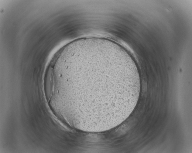 X0000083991480200703161610