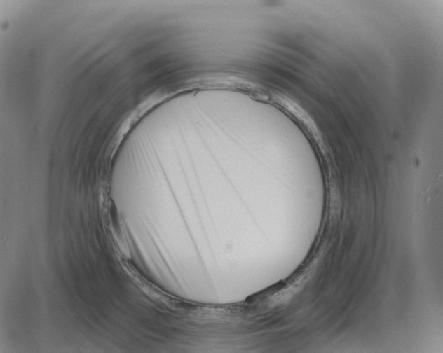 X0000083991481200703161610