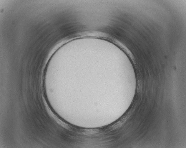 X0000083991483200703161610