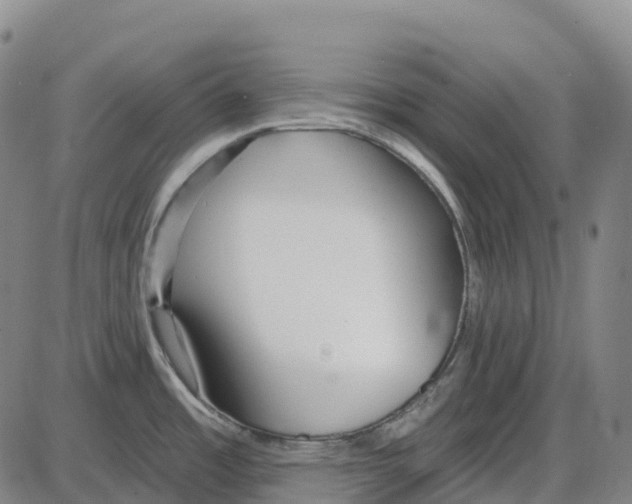 X0000083991485200703161610