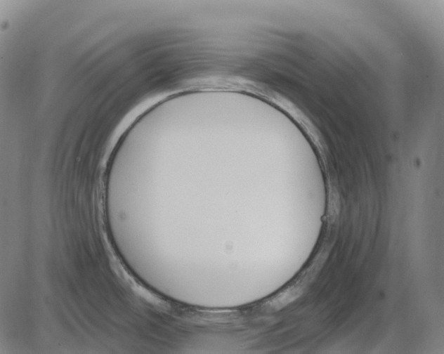 X0000083991486200703161610