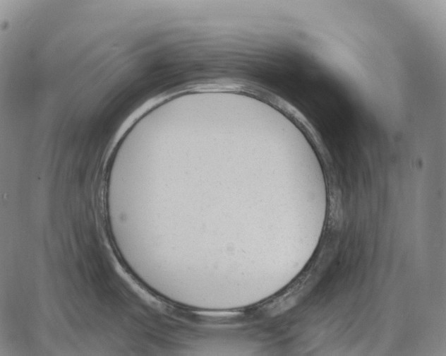 X0000083991487200703161610