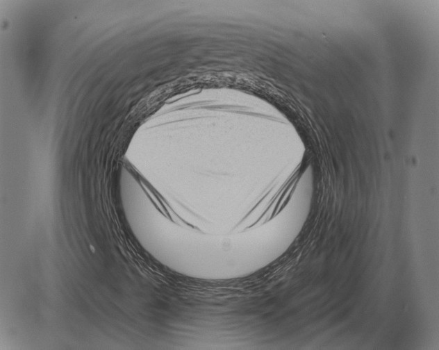 X0000083991489200703161609