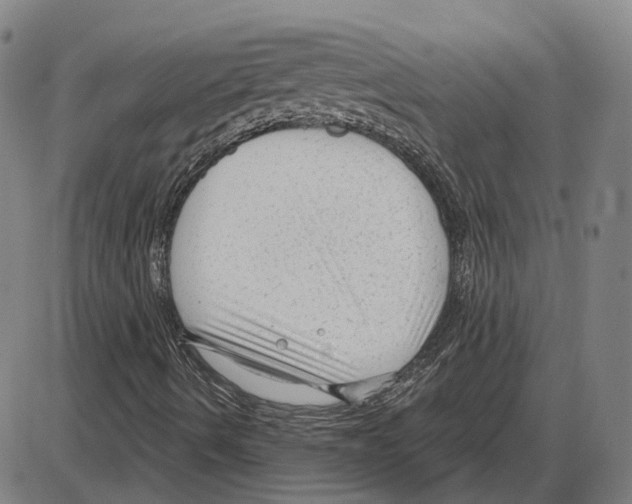 X0000083991490200703161609