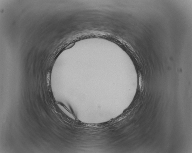 X0000083991492200703161609