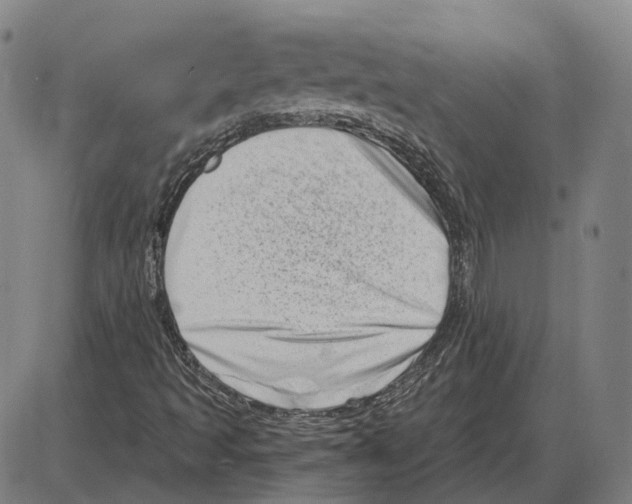 X0000083991493200703161609