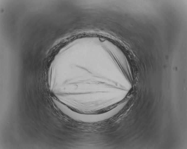 X0000083991494200703161609