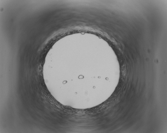 X0000083991495200703161609