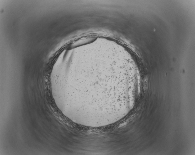 X0000083991496200703161609