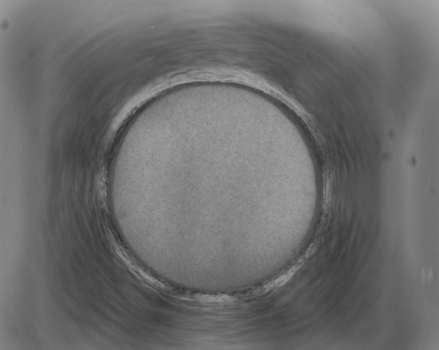 X0000083991498200703161609