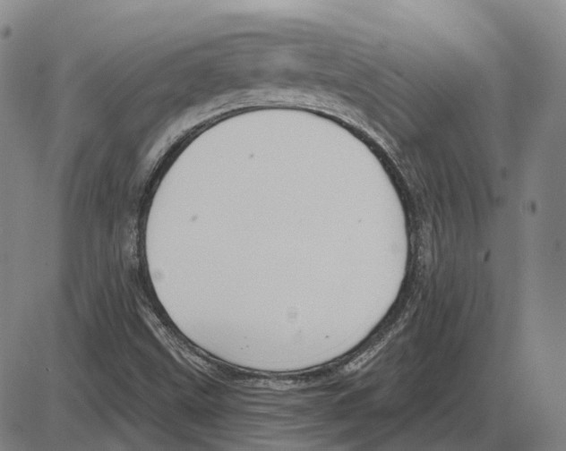 X0000083991499200703161609