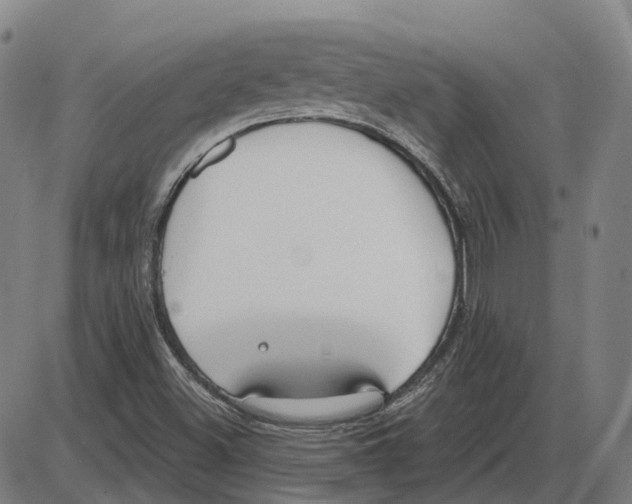 X0000083991500200703161609