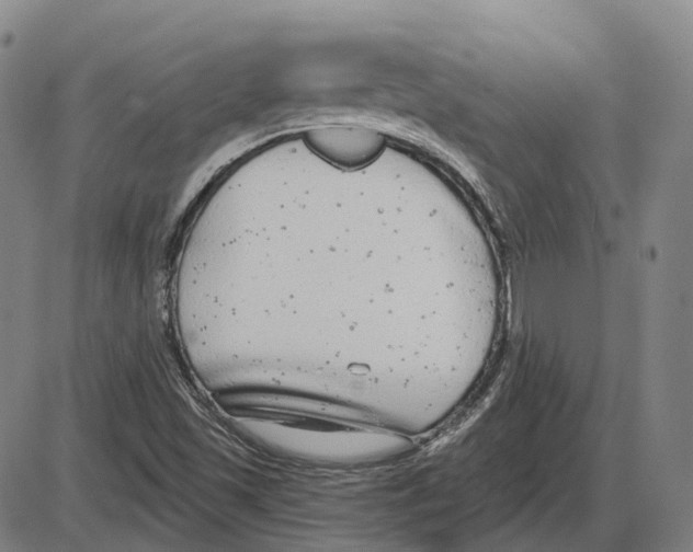 X0000083991501200703161609