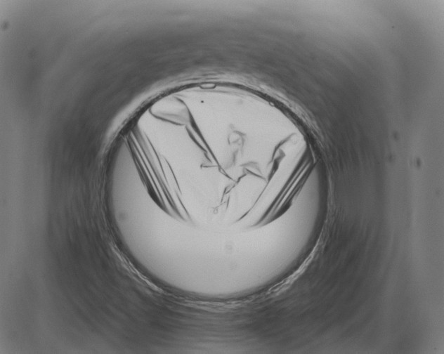 X0000083991502200703161609