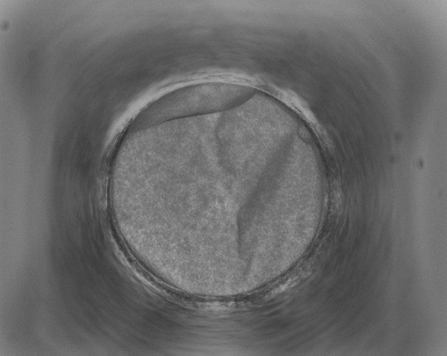 X0000083991504200703161609