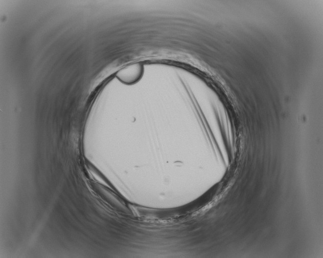 X0000083991505200703161609