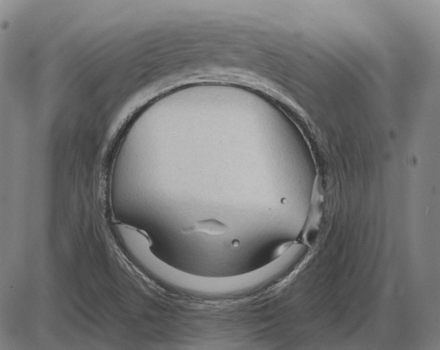 X0000083991506200703161609