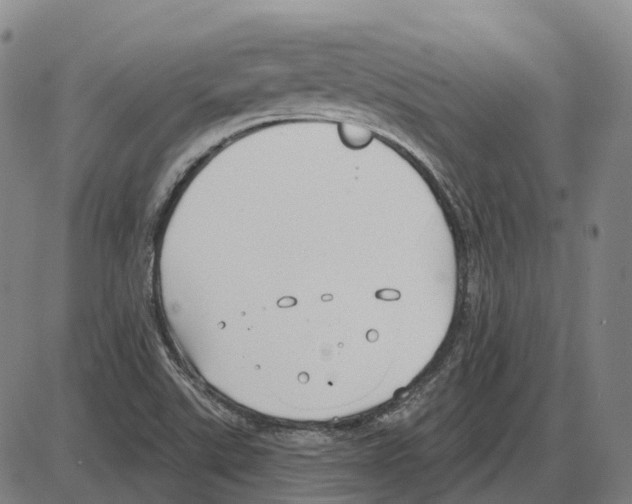 X0000083991507200703161609