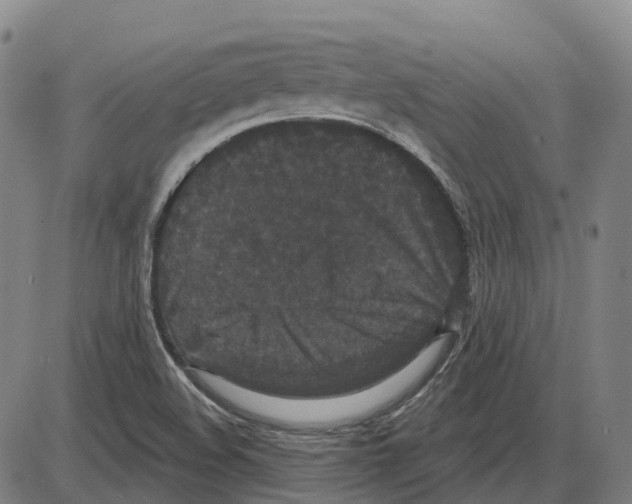 X0000083991508200703161609