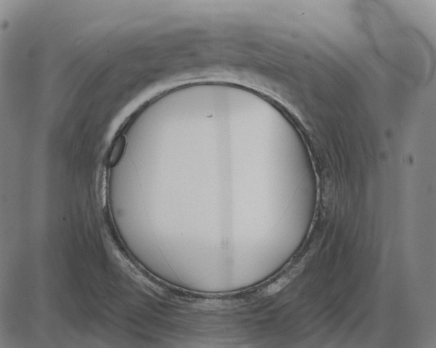 X0000083991510200703161609