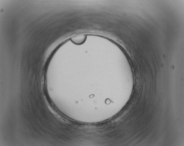 X0000083991511200703161609