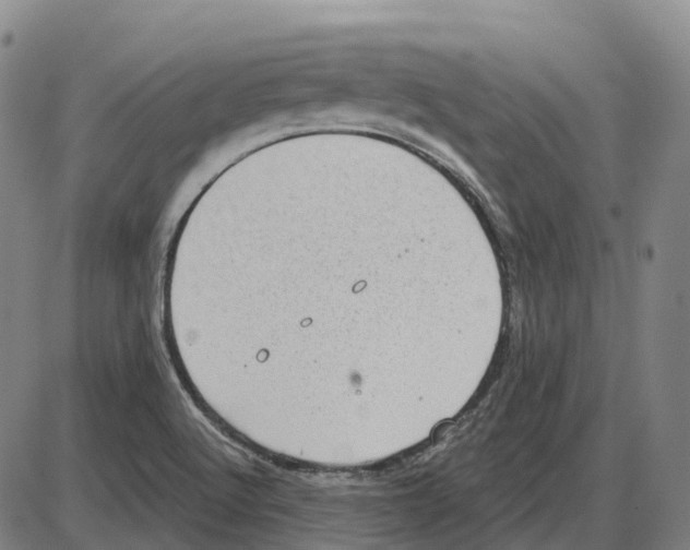 X0000083991512200703161609