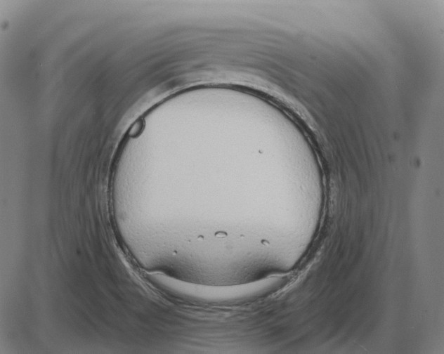 X0000083991513200703161609