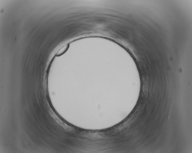 X0000083991516200703161609