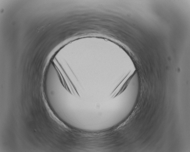 X0000083991518200703161609