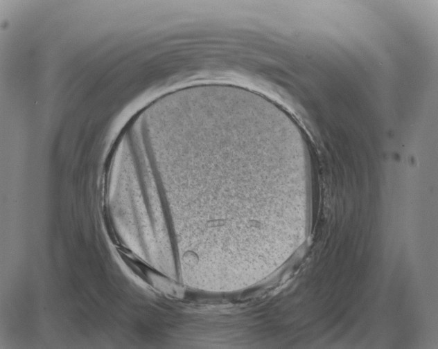 X0000083991519200703161609