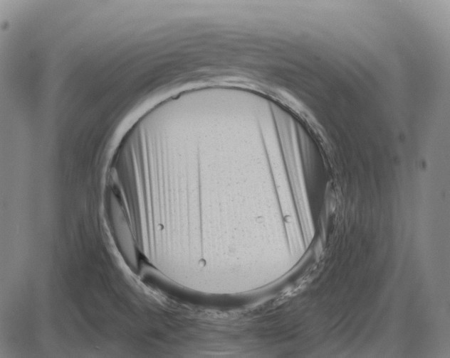 X0000083991520200703161609