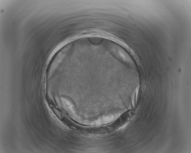 X0000083991522200703161610