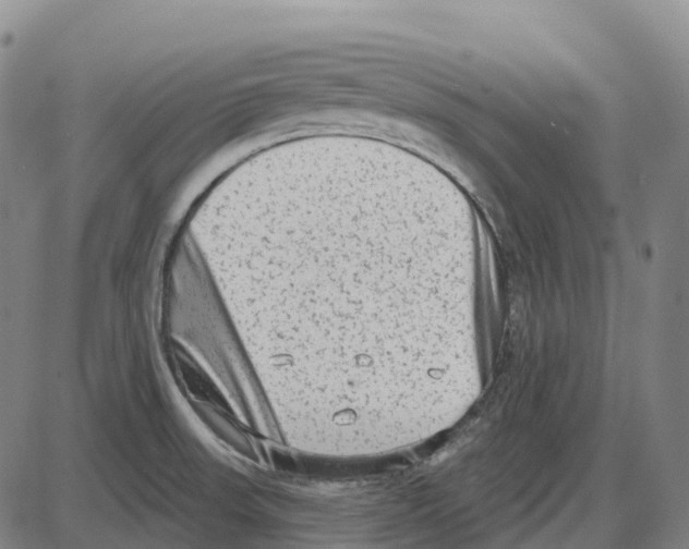 X0000083991523200703161610