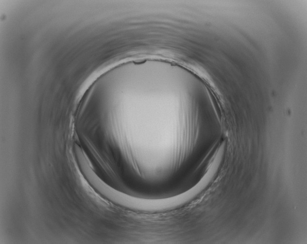 X0000083991524200703161610