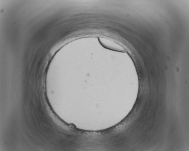 X0000083991526200703161610