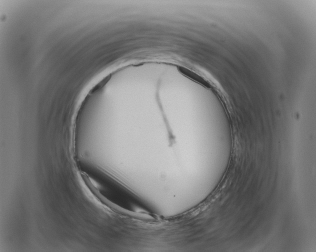 X0000083991528200703161610