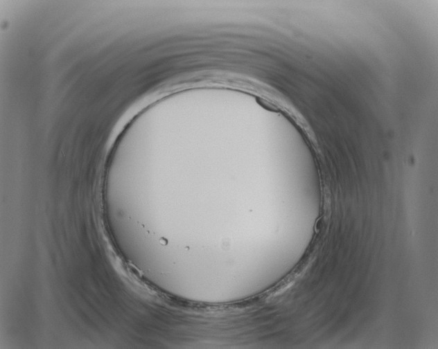 X0000083991530200703161610