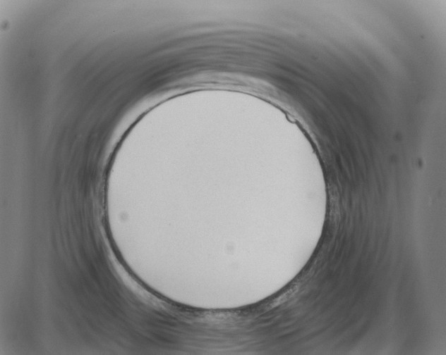 X0000083991531200703161610