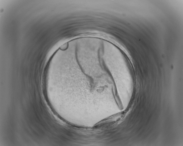 X0000083991533200703161610