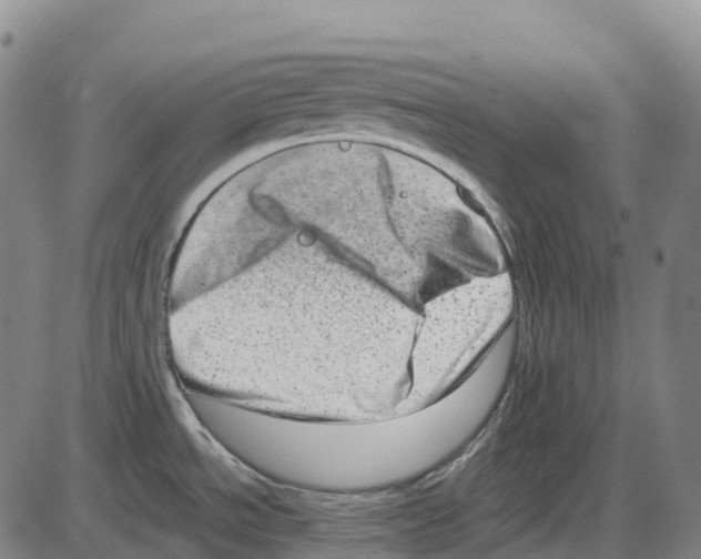 X0000083991534200703161610