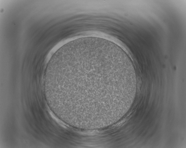 X0000083991535200703161610