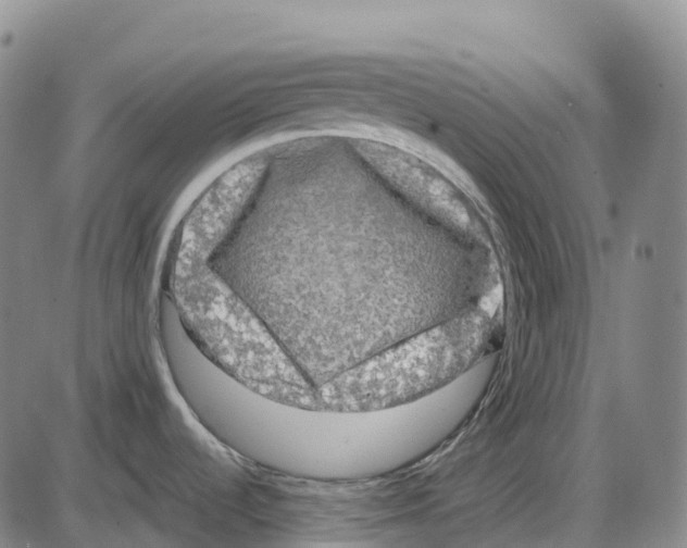 X0000083991536200703161610