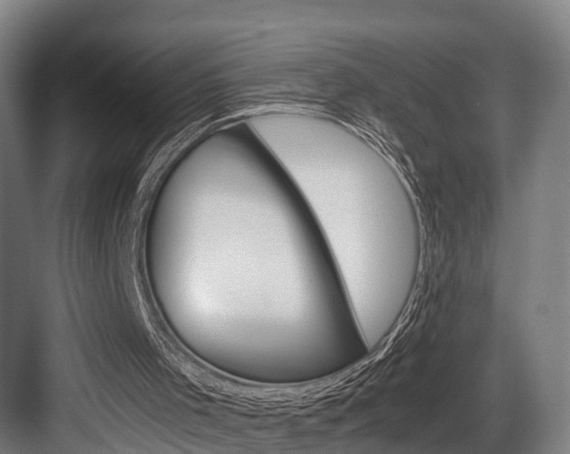 X0000084000001200702160808