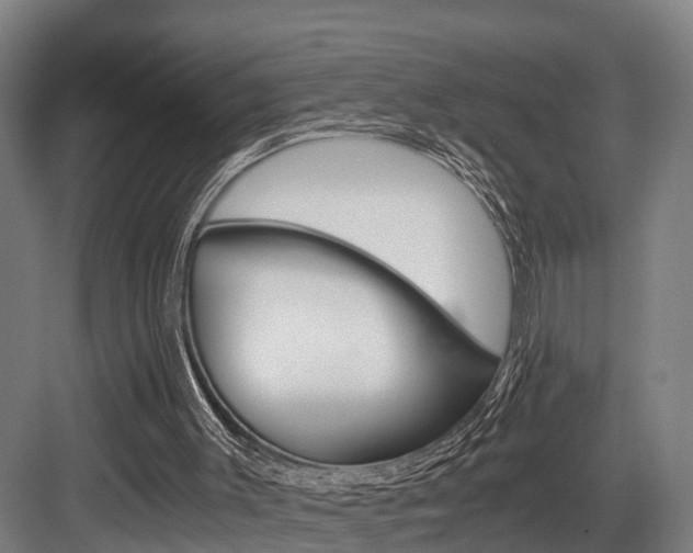 X0000084000003200702160808