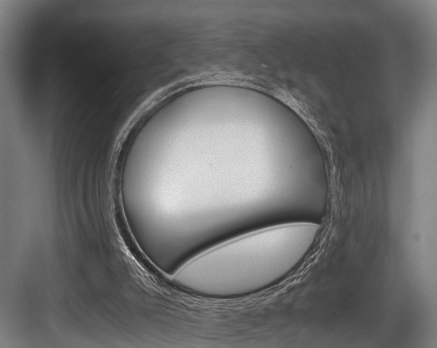 X0000084000007200702160808